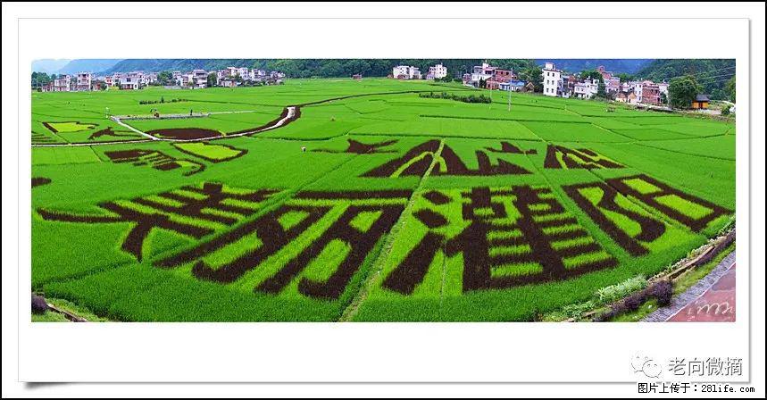 【春天，广西桂林灌阳县向您发出邀请！】开篇 - 游山玩水 - 金华生活社区 - 金华28生活网 jh.28life.com