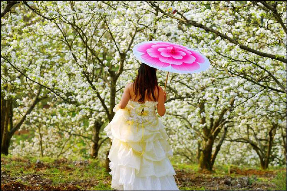 【春天，广西桂林灌阳县向您发出邀请！】我们在灌阳看梨花 - 游山玩水 - 金华生活社区 - 金华28生活网 jh.28life.com