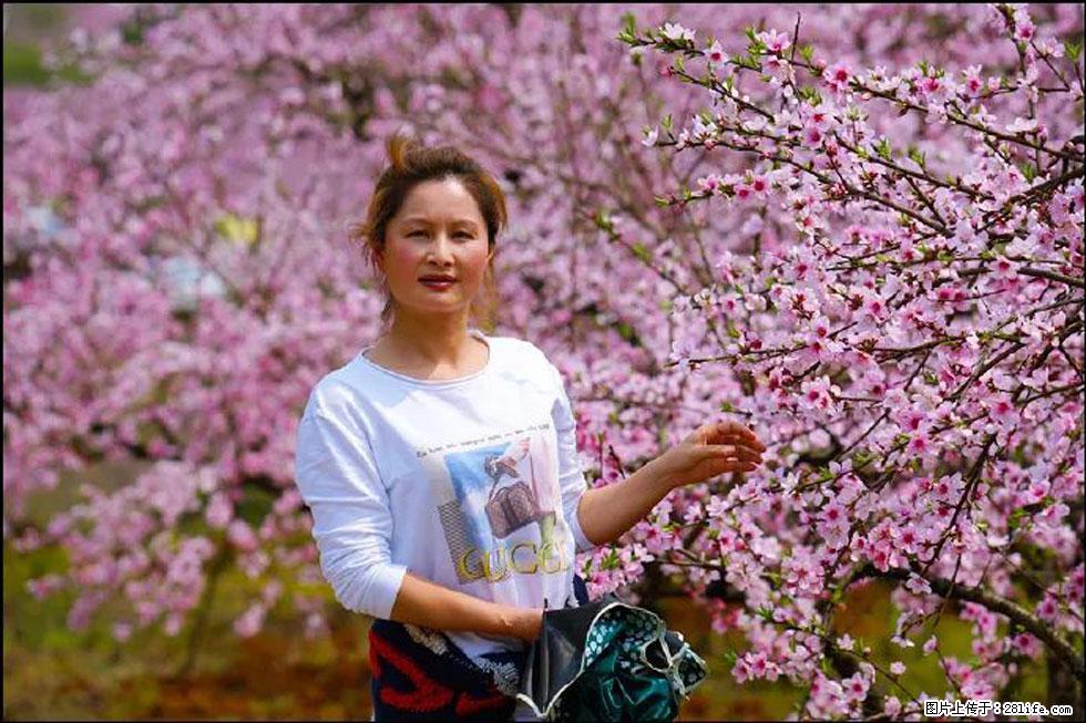 【春天，广西桂林灌阳县向您发出邀请！】官庄村有个醉美的桃花园 - 游山玩水 - 金华生活社区 - 金华28生活网 jh.28life.com