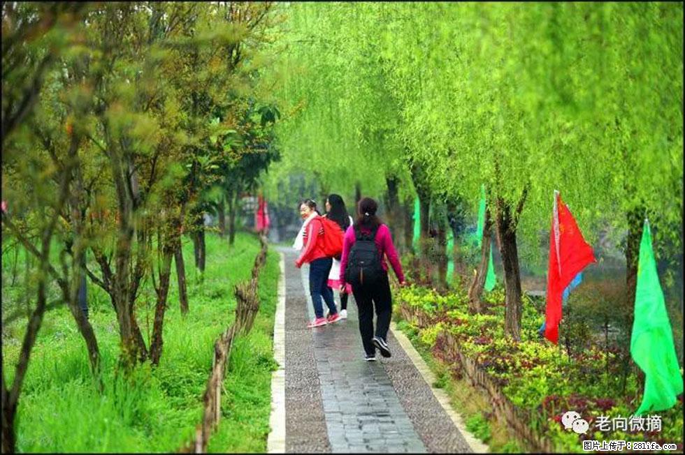 【春天，广西桂林灌阳县向您发出邀请！】江口老街又逢春 - 游山玩水 - 金华生活社区 - 金华28生活网 jh.28life.com