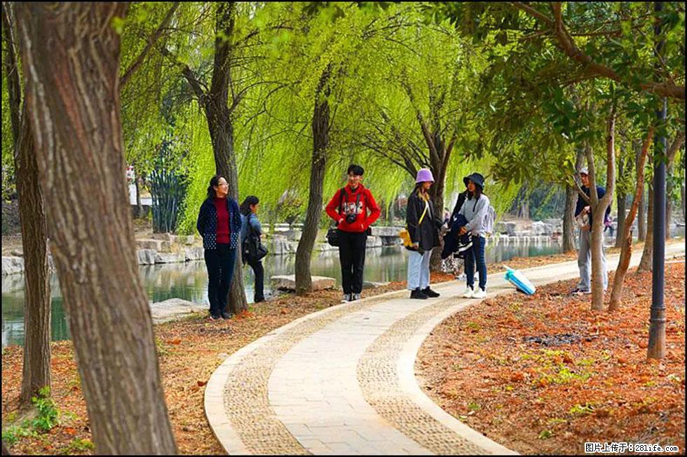 【春天，广西桂林灌阳县向您发出邀请！】江口老街又逢春 - 游山玩水 - 金华生活社区 - 金华28生活网 jh.28life.com