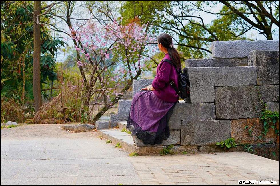 【春天，广西桂林灌阳县向您发出邀请！】江口老街又逢春 - 游山玩水 - 金华生活社区 - 金华28生活网 jh.28life.com