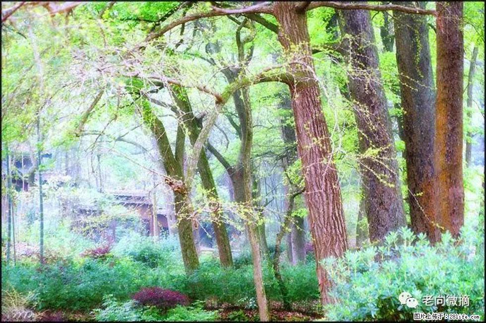 【春天，广西桂林灌阳县向您发出邀请！】在小龙村与春天约会 - 游山玩水 - 金华生活社区 - 金华28生活网 jh.28life.com