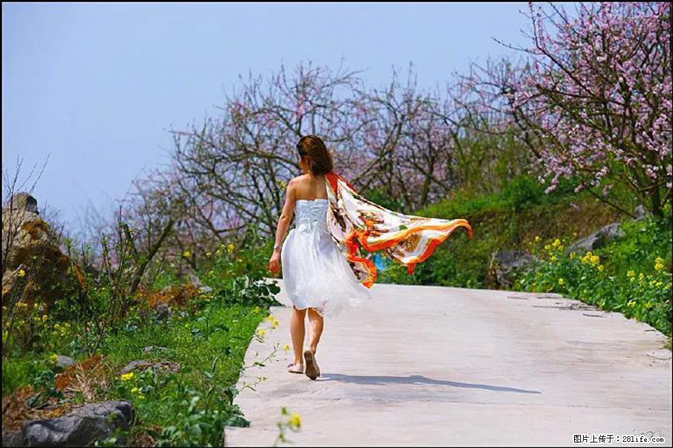 【春天，广西桂林灌阳县向您发出邀请！】望月岭上桃花开 - 游山玩水 - 金华生活社区 - 金华28生活网 jh.28life.com