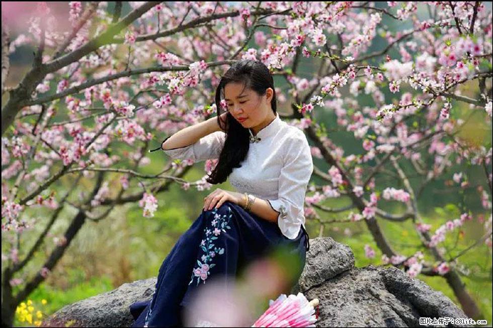 【春天，广西桂林灌阳县向您发出邀请！】望月岭上桃花开 - 游山玩水 - 金华生活社区 - 金华28生活网 jh.28life.com