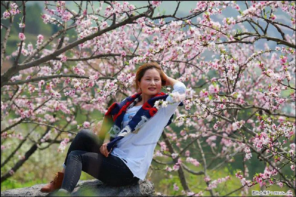 【春天，广西桂林灌阳县向您发出邀请！】望月岭上桃花开 - 游山玩水 - 金华生活社区 - 金华28生活网 jh.28life.com