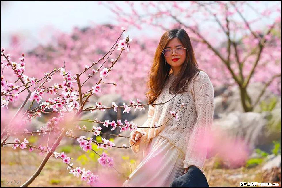 【春天，广西桂林灌阳县向您发出邀请！】望月岭上桃花开 - 游山玩水 - 金华生活社区 - 金华28生活网 jh.28life.com