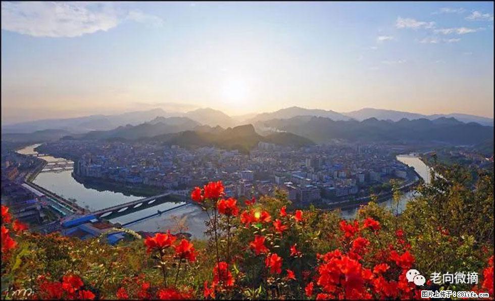 【春天，广西桂林灌阳县向您发出邀请！】登麒麟山，相约映山红 - 游山玩水 - 金华生活社区 - 金华28生活网 jh.28life.com