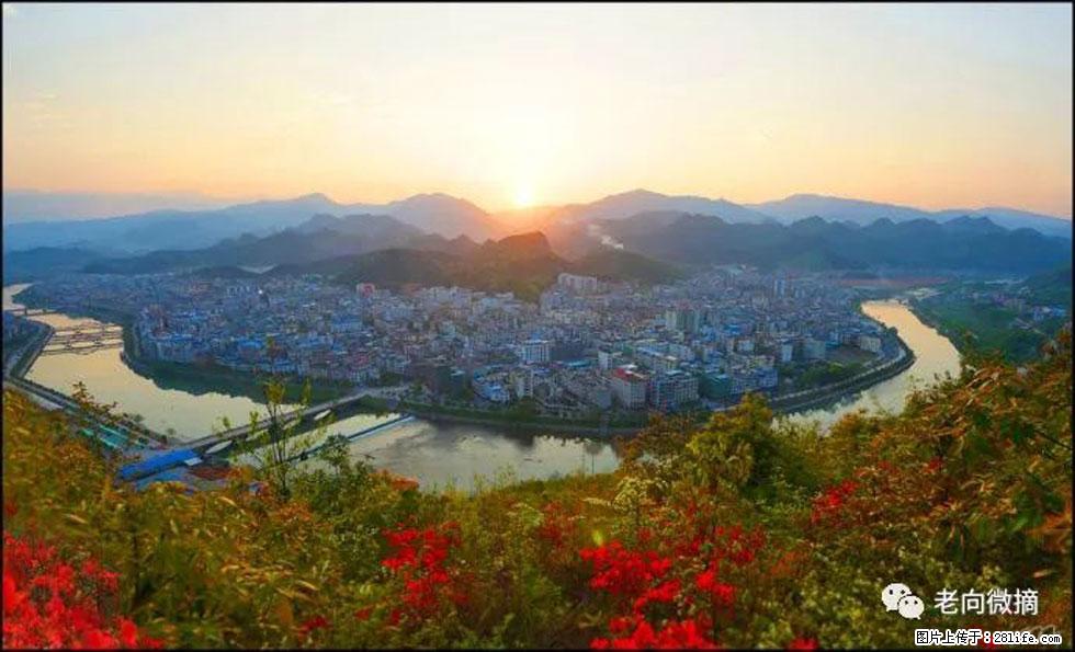 【春天，广西桂林灌阳县向您发出邀请！】登麒麟山，相约映山红 - 游山玩水 - 金华生活社区 - 金华28生活网 jh.28life.com