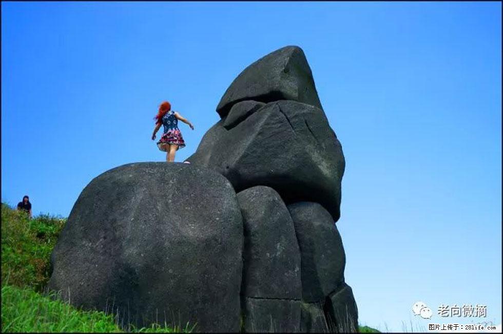 【春天，广西桂林灌阳县向您发出邀请！】宝盖山上映山红 - 游山玩水 - 金华生活社区 - 金华28生活网 jh.28life.com