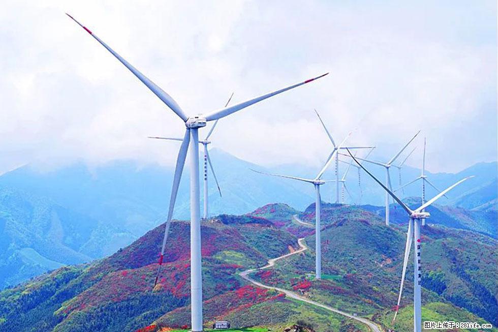 【春天，广西桂林灌阳县向您发出邀请！】春木界上映山红 - 游山玩水 - 金华生活社区 - 金华28生活网 jh.28life.com