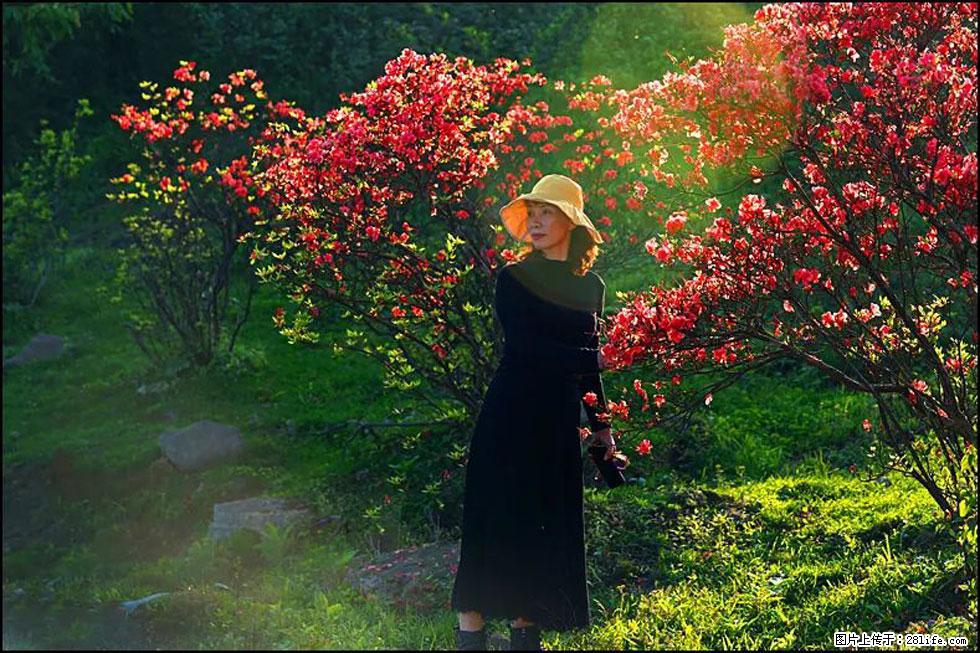 【春天，广西桂林灌阳县向您发出邀请！】春木界上映山红 - 游山玩水 - 金华生活社区 - 金华28生活网 jh.28life.com