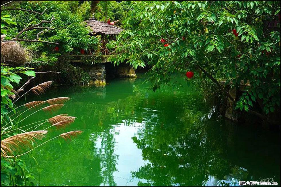 【春天，广西桂林灌阳县向您发出邀请！】如梦似幻莲溪庐 - 游山玩水 - 金华生活社区 - 金华28生活网 jh.28life.com