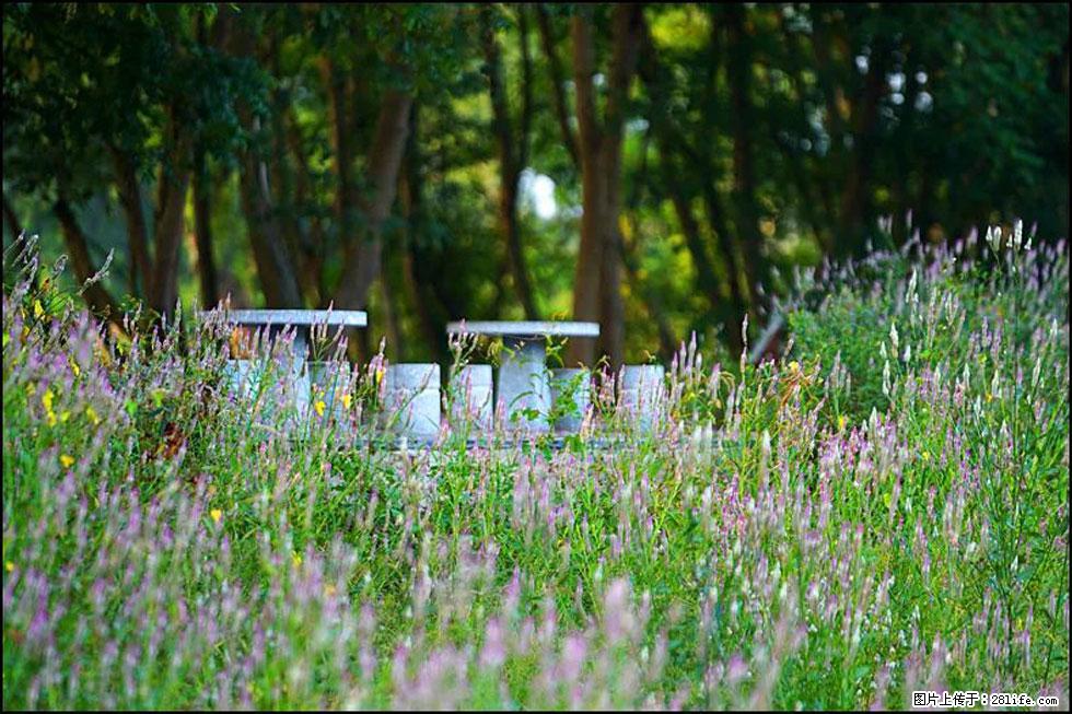 【春天，广西桂林灌阳县向您发出邀请！】熊家寨湿地公园 - 游山玩水 - 金华生活社区 - 金华28生活网 jh.28life.com