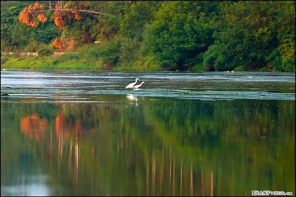 【春天，广西桂林灌阳县向您发出邀请！】熊家寨湿地公园 - 游山玩水 - 金华生活社区 - 金华28生活网 jh.28life.com