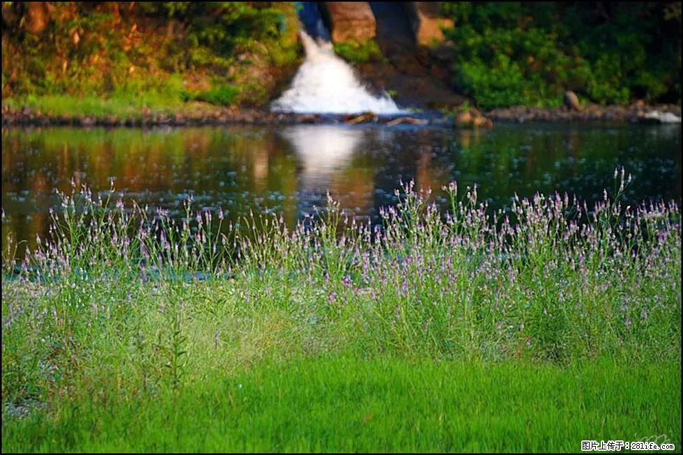 【春天，广西桂林灌阳县向您发出邀请！】熊家寨湿地公园 - 游山玩水 - 金华生活社区 - 金华28生活网 jh.28life.com