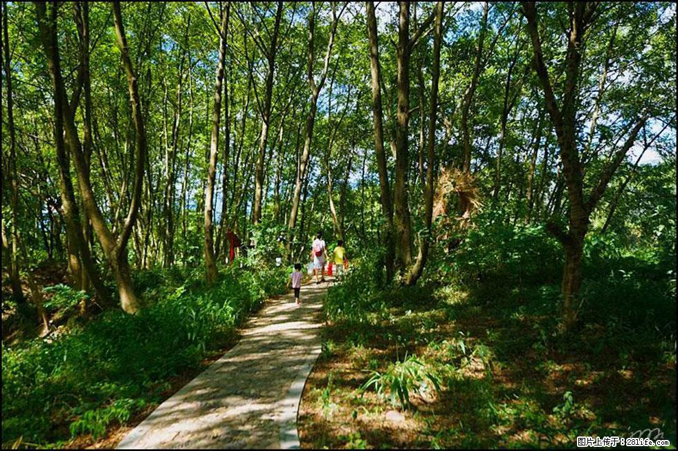 【春天，广西桂林灌阳县向您发出邀请！】熊家寨湿地公园 - 游山玩水 - 金华生活社区 - 金华28生活网 jh.28life.com