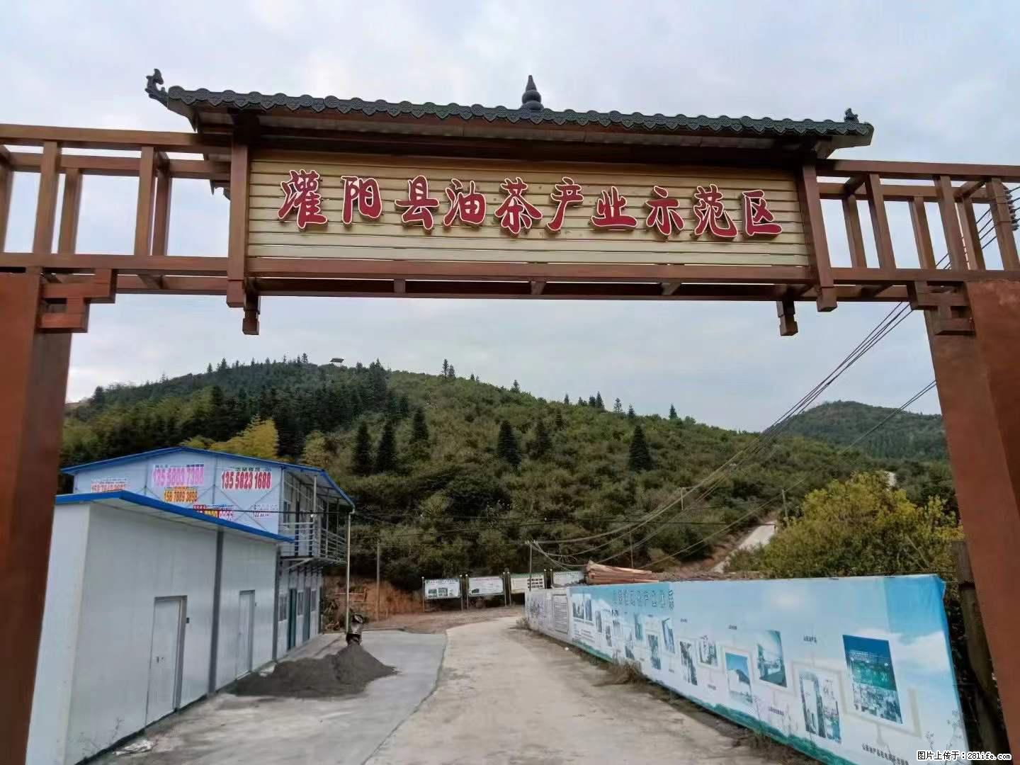 【灌阳县油茶产业示范区】一个有着充实的精神生活的人,对待身外之物自会有一种淡泊的态度 - 土特产 - 饮食特产 - 金华分类信息 - 金华28生活网 jh.28life.com