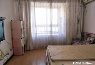 西京大厦 单身公寓出租 朝南 精装修 拎包入住 仅租1350 - 金华28生活网 jh.28life.com