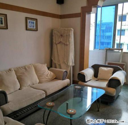 东苑小学对面工商城附近金信花园精致三房出租 - 房屋出租 - 房屋租售 - 金华分类信息 - 金华28生活网 jh.28life.com