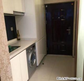 急租万达广场电梯房高层单身公寓家电齐全拎包入住精装修 - 金华28生活网 jh.28life.com