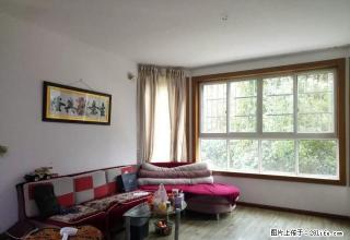 《彩窝》盛世绿园房东自住精装修首租大厨房大客厅大卫生朝南双阳 - 金华28生活网 jh.28life.com