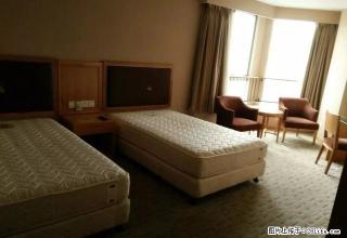 《彩窝》世贸双塔 酒店式公寓出租有档次 价格实惠 - 金华28生活网 jh.28life.com