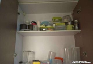 保集广场 精装公寓40平米1室1厅 拎包入住 诚心出租 - 金华28生活网 jh.28life.com