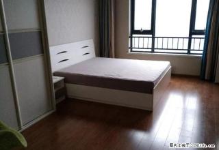 万达广场，精品装修，拎包入住，家具齐全，交通便利 - 金华28生活网 jh.28life.com