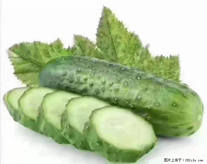 【生活小常识】吃黄瓜的好处 - 生活百科 - 金华生活社区 - 金华28生活网 jh.28life.com