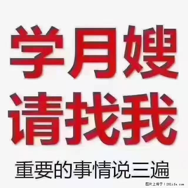 【招聘】月嫂，上海徐汇区 - 职场交流 - 金华生活社区 - 金华28生活网 jh.28life.com