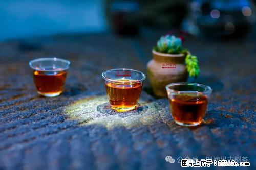 时间果百年古树2025年春红茶 - 购物交流 - 金华生活社区 - 金华28生活网 jh.28life.com