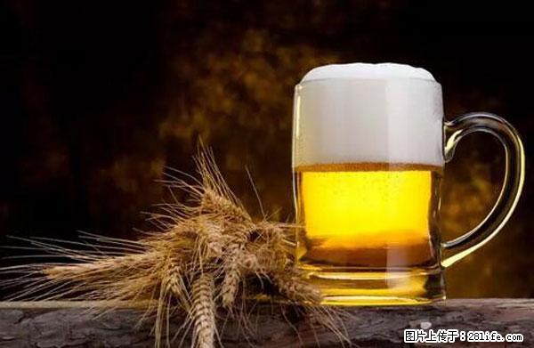 原来它这么毒,然而竟然满大街都是.... - 金华生活资讯 - 金华28生活网 jh.28life.com