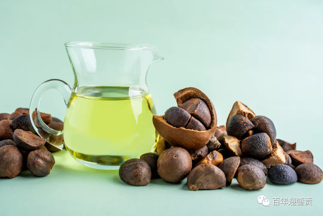 世界没有真相，只有认知，最好的食用油是中国的山茶油！ - 金华生活资讯 - 金华28生活网 jh.28life.com