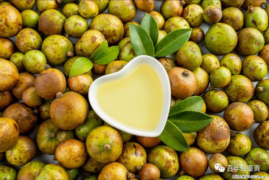 世界没有真相，只有认知，最好的食用油是中国的山茶油！ - 金华生活资讯 - 金华28生活网 jh.28life.com