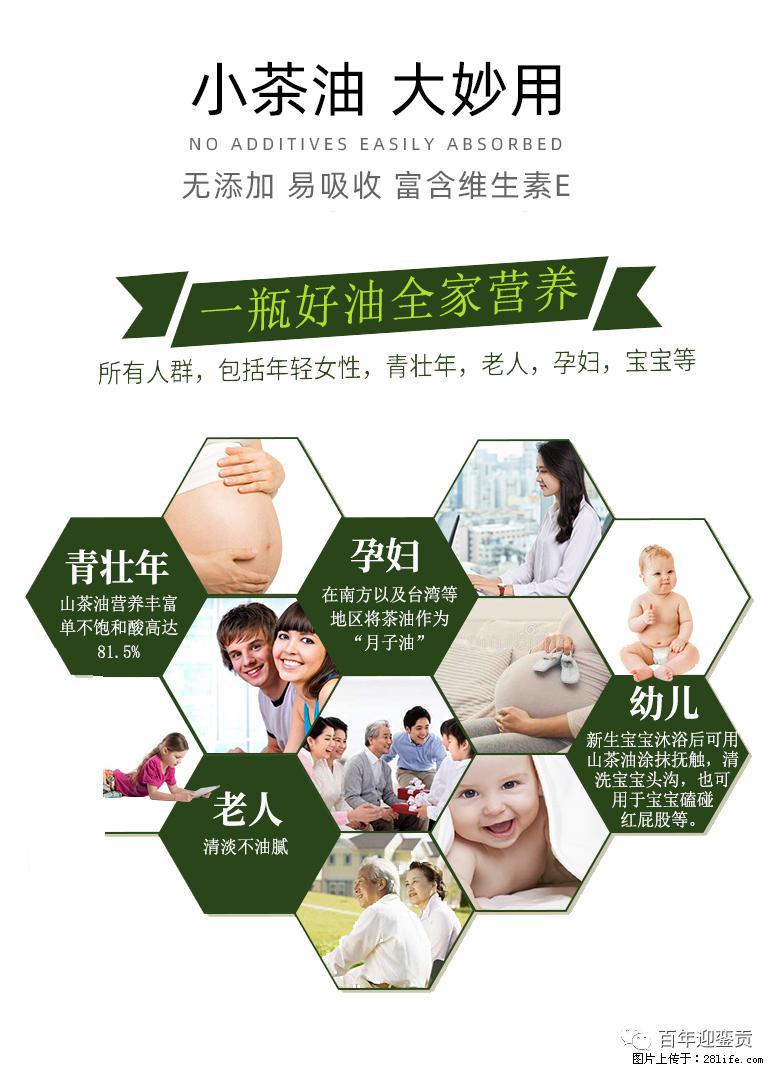 世界没有真相，只有认知，最好的食用油是中国的山茶油！ - 金华生活资讯 - 金华28生活网 jh.28life.com