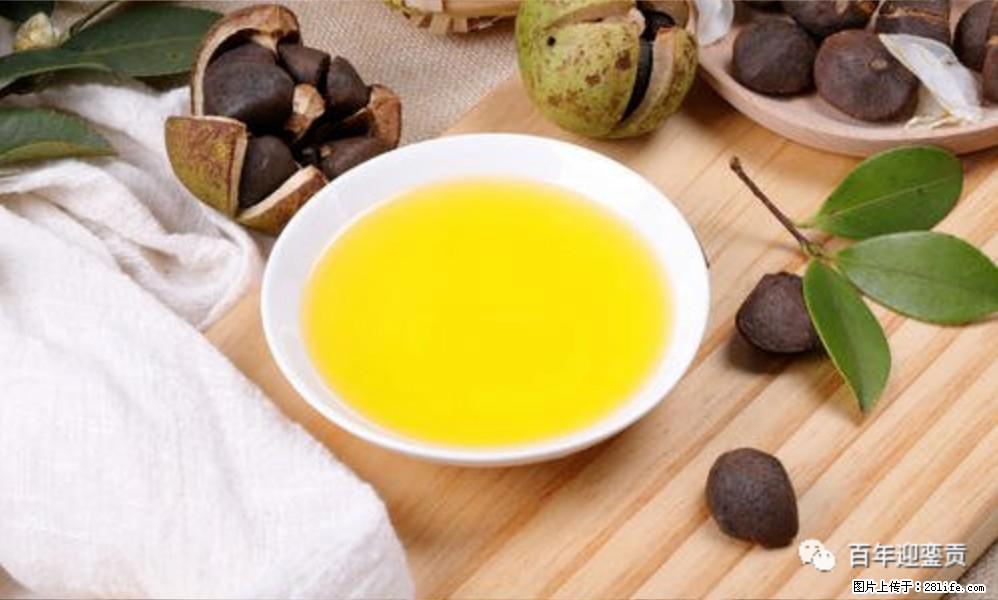 世界没有真相，只有认知，最好的食用油是中国的山茶油！ - 金华生活资讯 - 金华28生活网 jh.28life.com