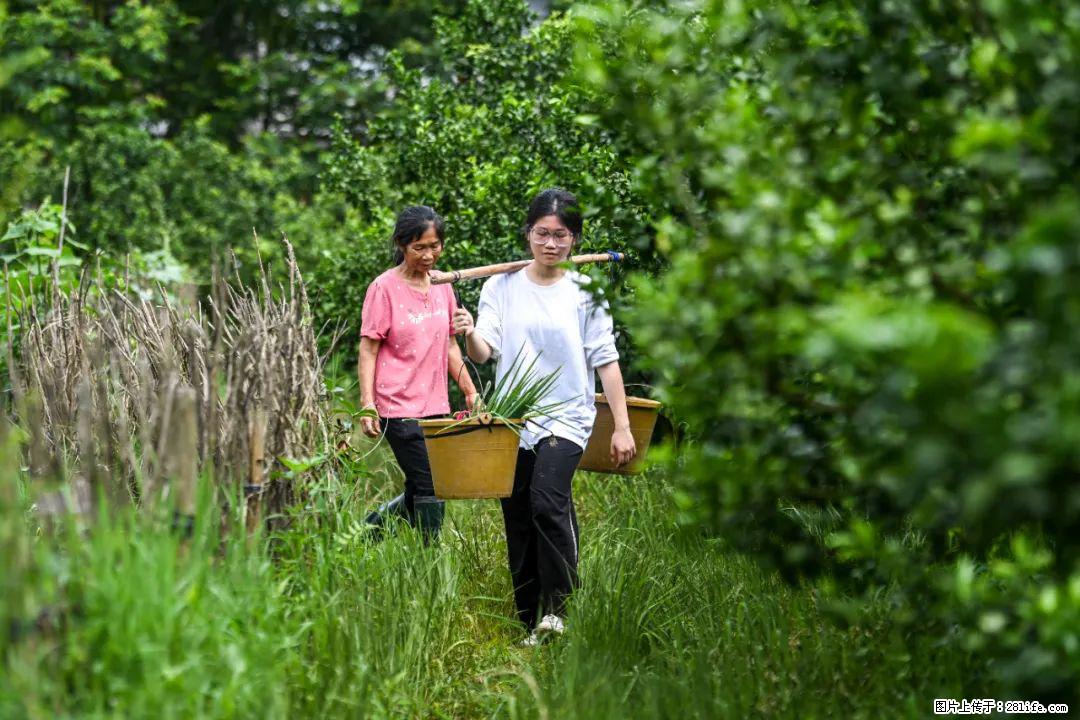全网追的“扁担女孩”，找了一份暑假工，时薪12元 - 金华生活资讯 - 金华28生活网 jh.28life.com