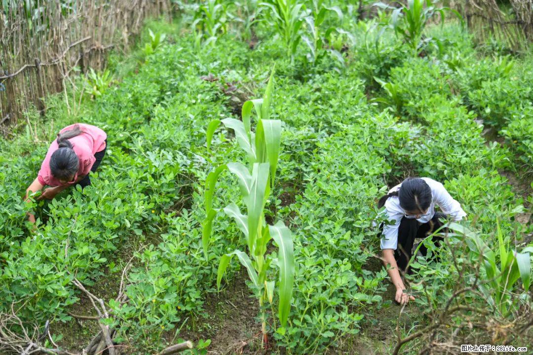 全网追的“扁担女孩”，找了一份暑假工，时薪12元 - 金华生活资讯 - 金华28生活网 jh.28life.com