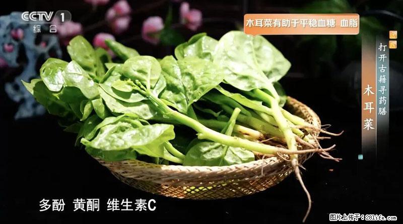 比牛奶补钙还厉害！凉血解毒、稳血糖...这菜冬天必吃，很多人却当草 - 金华生活资讯 - 金华28生活网 jh.28life.com