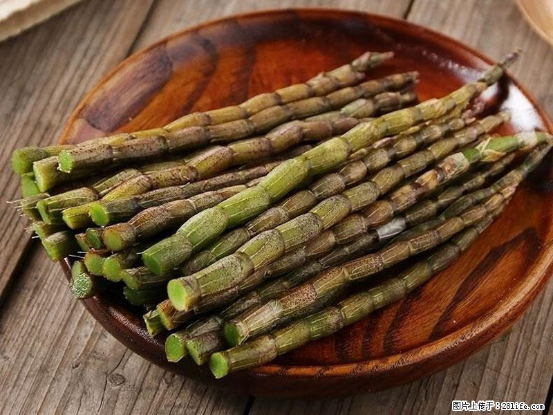 铁皮石斛的作用与功能主治 - 金华生活资讯 - 金华28生活网 jh.28life.com