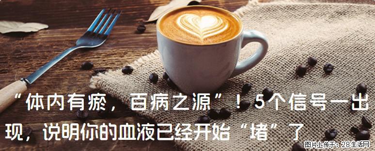 “体内有瘀，百病之源”！5个信号一出现，说明你的血液已经开始“堵”了 - 金华生活资讯 - 金华28生活网 jh.28life.com